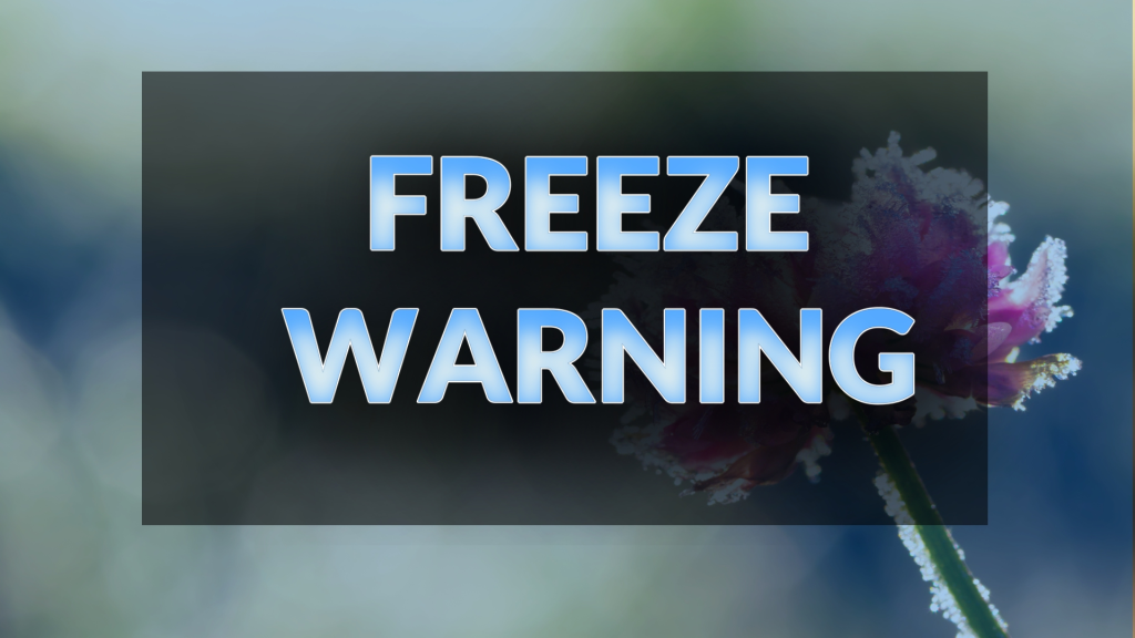 Alabama under freeze warning with lows near 28 by Wednesday morning
